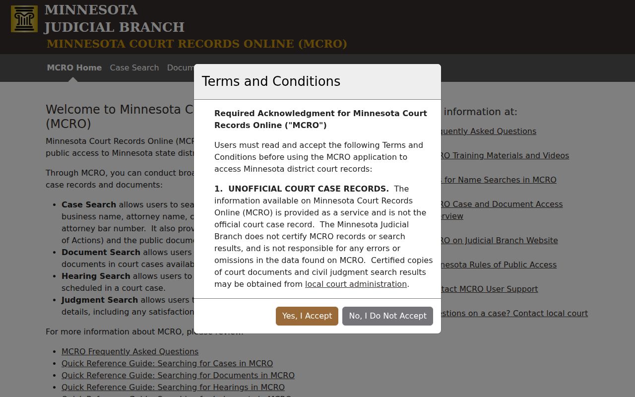 Blank Minnesota Court Records Online search interface before any Lake of the Woods County name search